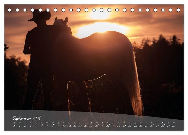 Haflinger-Pferde in Reinzucht (Tischkalender 2026 DIN A5 quer), CALVENDO Monatskalender