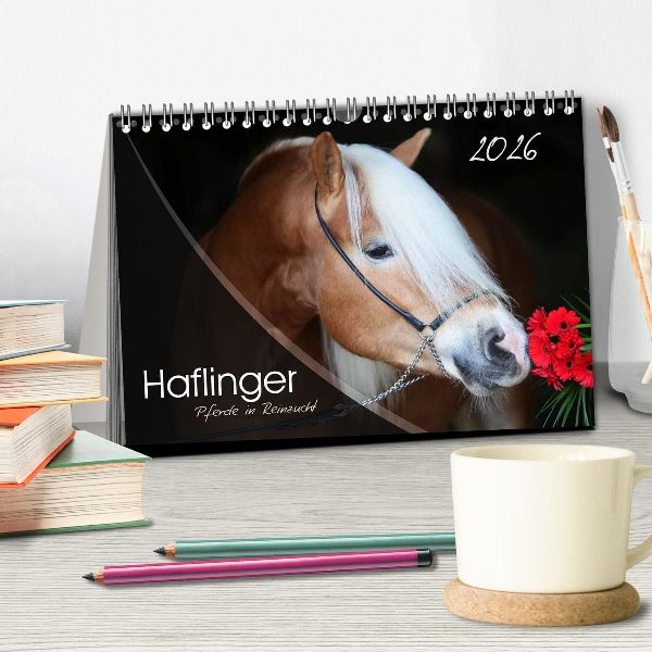 Haflinger-Pferde in Reinzucht (Tischkalender 2026 DIN A5 quer), CALVENDO Monatskalender
