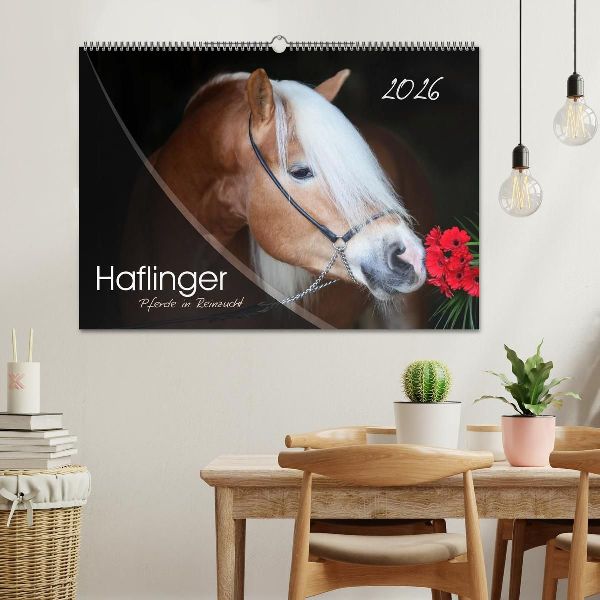 Haflinger-Pferde in Reinzucht (Wandkalender 2026 DIN A2 quer), CALVENDO Monatskalender