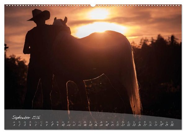Haflinger-Pferde in Reinzucht (Wandkalender 2026 DIN A2 quer), CALVENDO Monatskalender