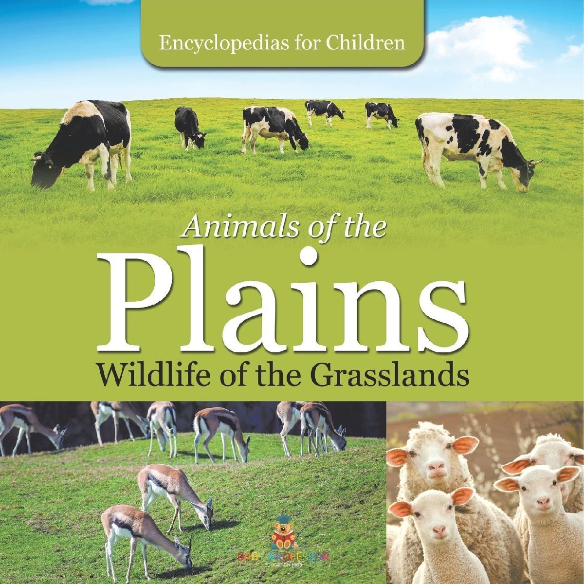 Animals of the Plains| Wildlife of the Grasslands | Encycloped...