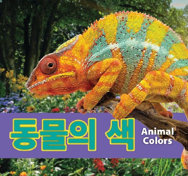 동물의 색/Animal Color...