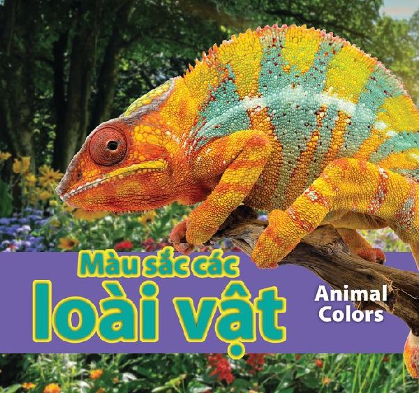 Màu Sắc Các Loài Vật/Animal Colors (Vie...