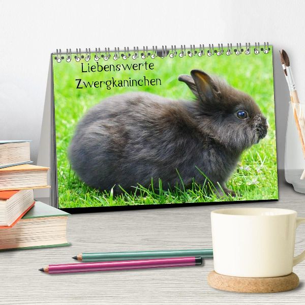 Liebenswerte Zwergkaninchen (Tischkalender 2026 DIN A5 quer), CALVENDO Monatskalender