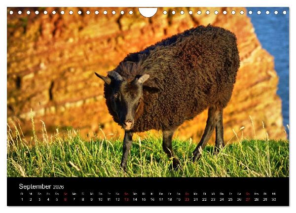 Abend in Helgoland (Wandkalender 2026 DIN A4 quer), CALVENDO Monatskalender