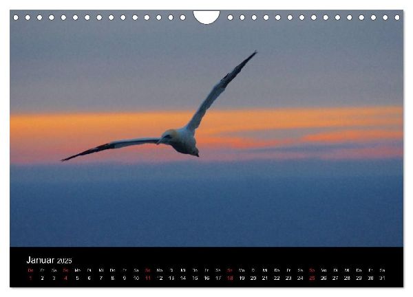 Abend in Helgoland (Wandkalender 2026 DIN A4 quer), CALVENDO Monatskalender