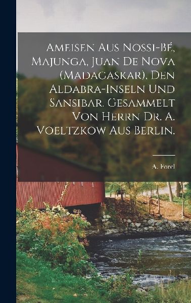Ameisen Aus Nossi-Bé, Majunga, Juan De Nova (Madagaskar), Den...
