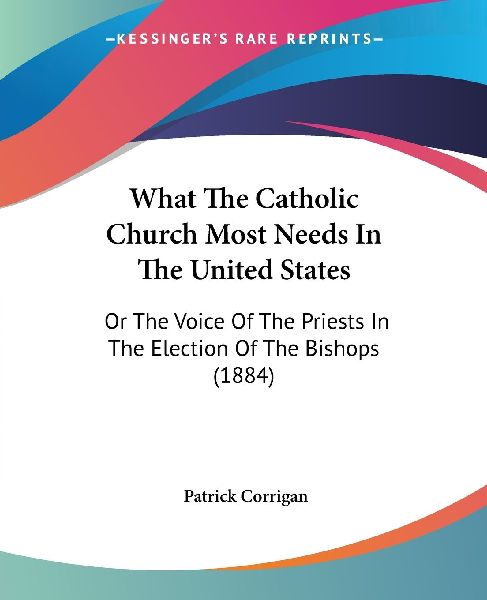 What The Catholic Church Most Needs In The United States