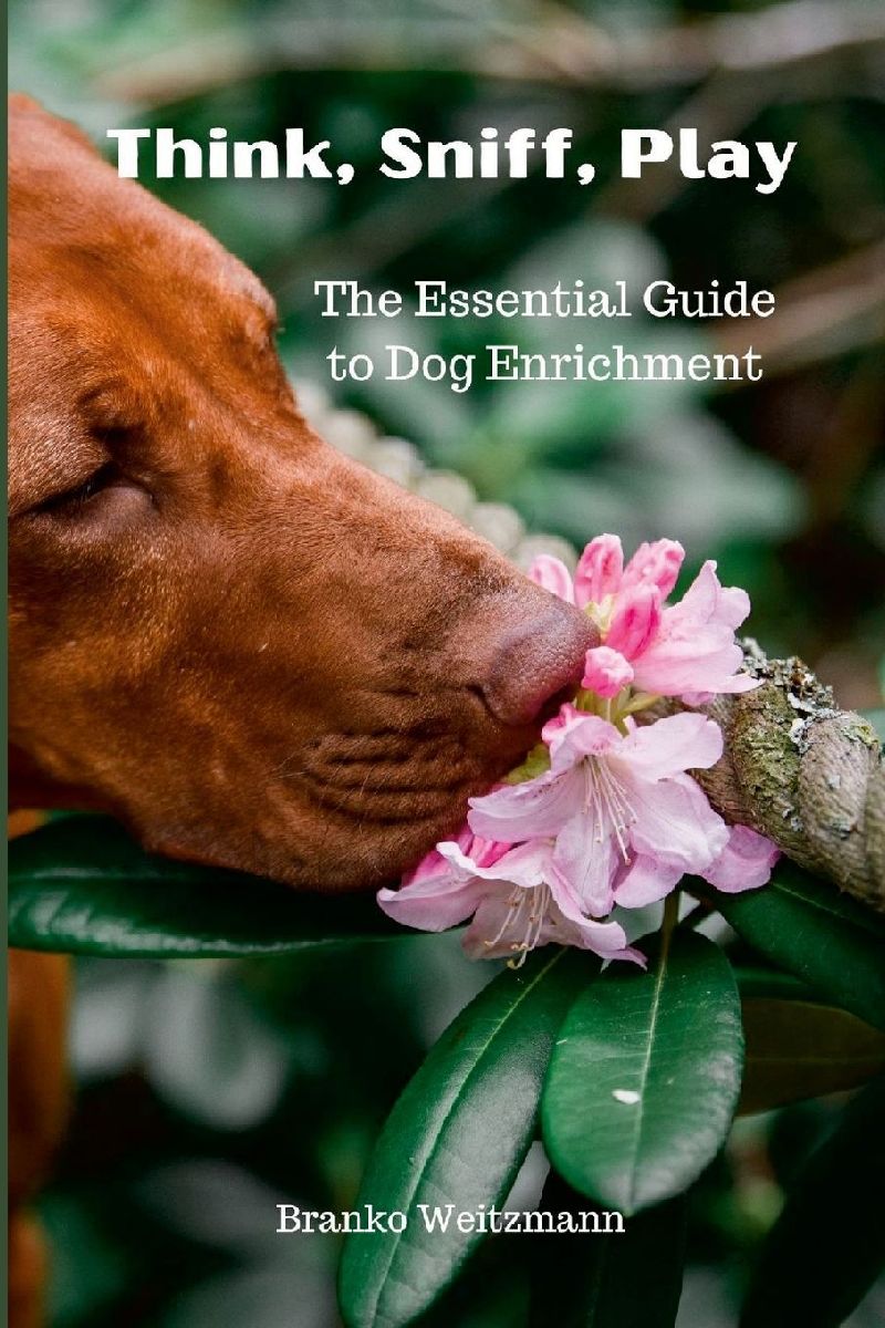 Think, Sniff, Play
