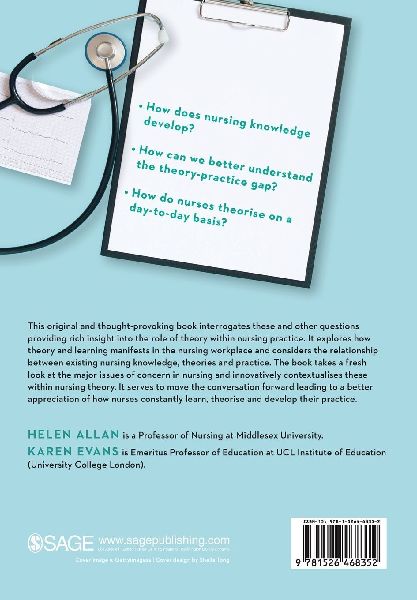 Theorising in Everyday Nursing Practice