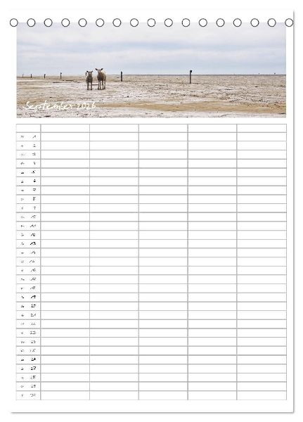 Nordfriesland - Familienplaner (Tischkalender 2026 DIN A5 hoch), CALVENDO Monatskalender