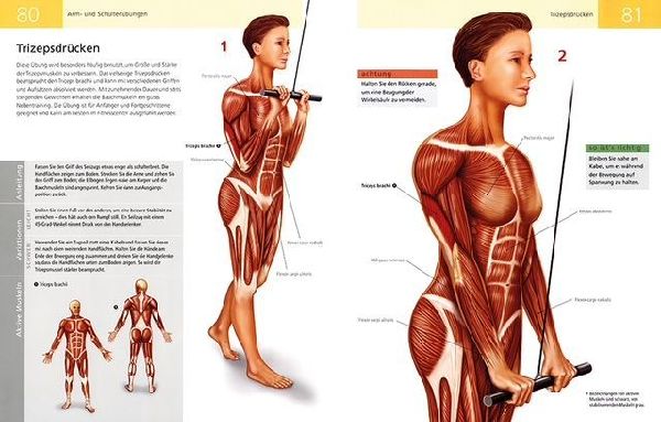 Die Anatomie von Stretching und Fitness