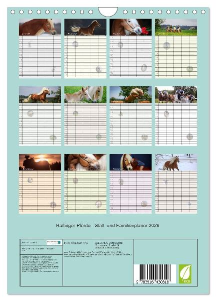Haflinger Pferde - Stall- und Familienplaner 2026 (Wandkalender 2026 DIN A4 hoch), CALVENDO Monatskalender