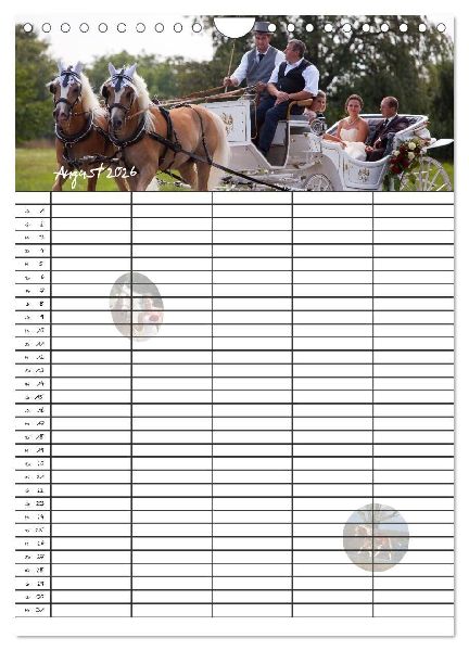 Haflinger Pferde - Stall- und Familienplaner 2026 (Wandkalender 2026 DIN A4 hoch), CALVENDO Monatskalender