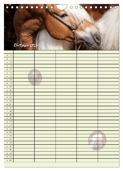 Haflinger Pferde - Stall- und Familienplaner 2026 (Wandkalender 2026 DIN A4 hoch), CALVENDO Monatskalender