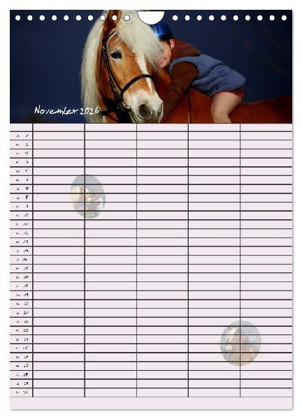 Haflinger Pferde - Stall- und Familienplaner 2026 (Wandkalender 2026 DIN A4 hoch), CALVENDO Monatskalender