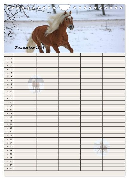 Haflinger Pferde - Stall- und Familienplaner 2026 (Wandkalender 2026 DIN A4 hoch), CALVENDO Monatskalender