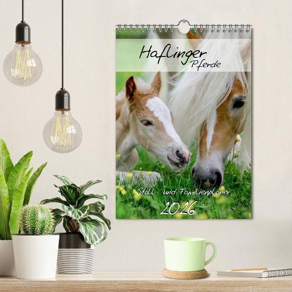 Haflinger Pferde - Stall- und Familienplaner 2026 (Wandkalender 2026 DIN A4 hoch), CALVENDO Monatskalender