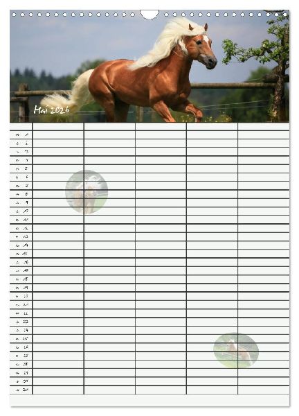 Haflinger Pferde - Stall- und Familienplaner 2026 (Wandkalender 2026 DIN A3 hoch), CALVENDO Monatskalender
