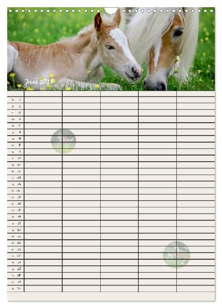 Haflinger Pferde - Stall- und Familienplaner 2026 (Wandkalender 2026 DIN A3 hoch), CALVENDO Monatskalender