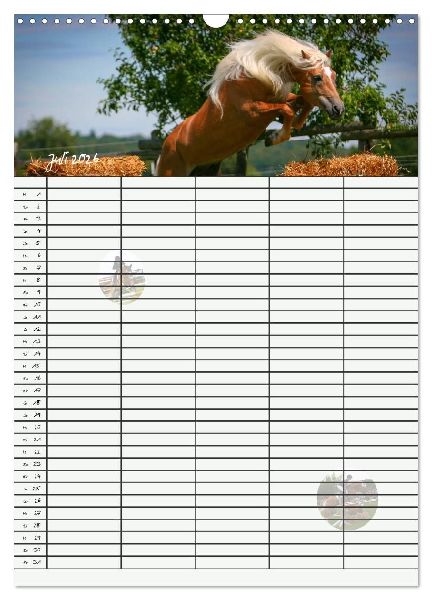 Haflinger Pferde - Stall- und Familienplaner 2026 (Wandkalender 2026 DIN A3 hoch), CALVENDO Monatskalender