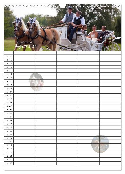 Haflinger Pferde - Stall- und Familienplaner 2026 (Wandkalender 2026 DIN A3 hoch), CALVENDO Monatskalender