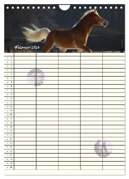 Haflinger Pferde - Stall- und Familienplaner 2026 (Wandkalender 2026 DIN A4 hoch), CALVENDO Monatskalender