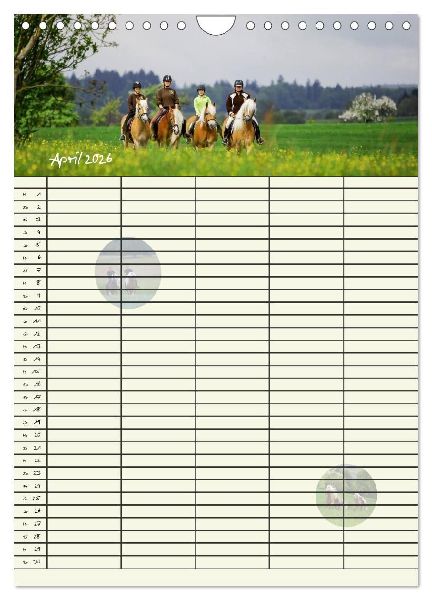 Haflinger Pferde - Stall- und Familienplaner 2026 (Wandkalender 2026 DIN A4 hoch), CALVENDO Monatskalender