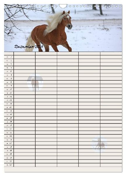 Haflinger Pferde - Stall- und Familienplaner 2026 (Wandkalender 2026 DIN A3 hoch), CALVENDO Monatskalender