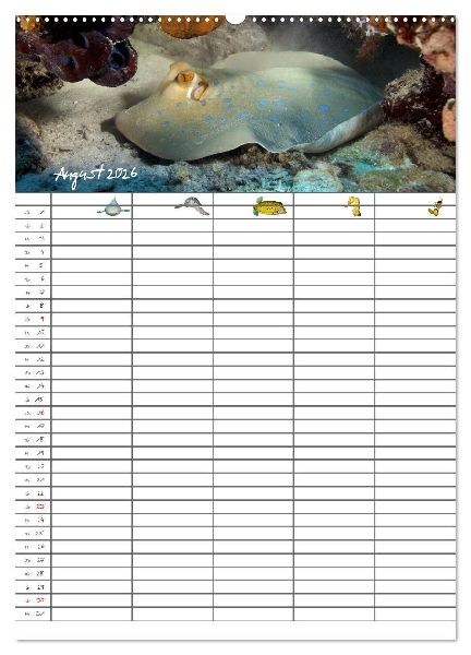 Der Unterwasser Familienplaner 2026 (Wandkalender 2026 DIN A2 hoch), CALVENDO Monatskalender