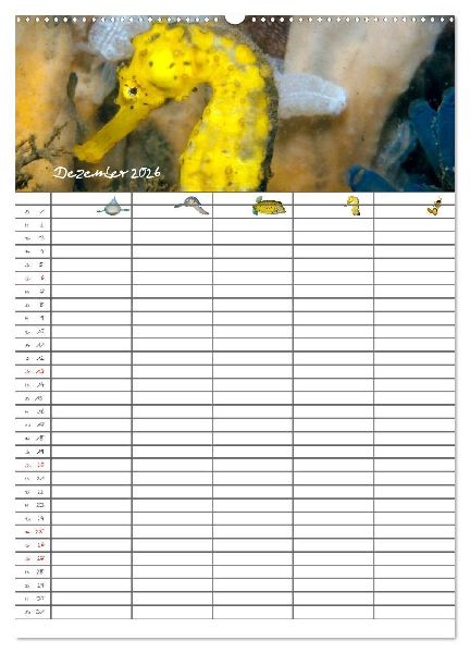Der Unterwasser Familienplaner 2026 (Wandkalender 2026 DIN A2 hoch), CALVENDO Monatskalender