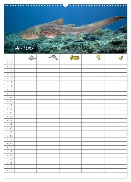 Der Unterwasser Familienplaner 2026 (Wandkalender 2026 DIN A2 hoch), CALVENDO Monatskalender