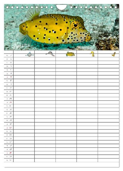 Der Unterwasser Familienplaner 2026 (Wandkalender 2026 DIN A4 hoch), CALVENDO Monatskalender