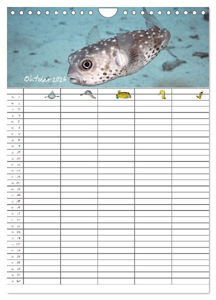 Der Unterwasser Familienplaner 2026 (Wandkalender 2026 DIN A4 hoch), CALVENDO Monatskalender