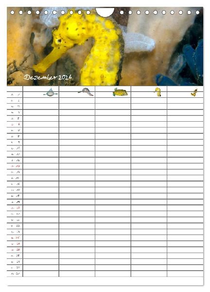 Der Unterwasser Familienplaner 2026 (Wandkalender 2026 DIN A4 hoch), CALVENDO Monatskalender
