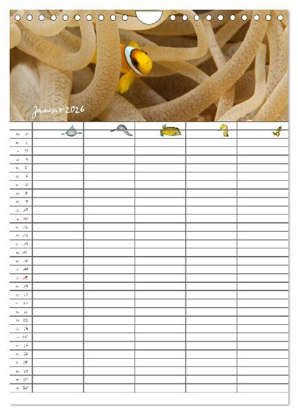 Der Unterwasser Familienplaner 2026 (Wandkalender 2026 DIN A4 hoch), CALVENDO Monatskalender