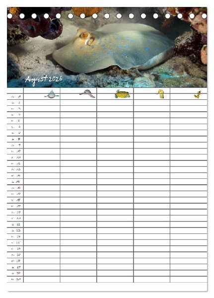 Der Unterwasser Familienplaner 2026 (Tischkalender 2026 DIN A5 hoch), CALVENDO Monatskalender