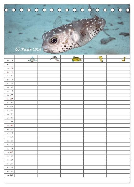 Der Unterwasser Familienplaner 2026 (Tischkalender 2026 DIN A5 hoch), CALVENDO Monatskalender
