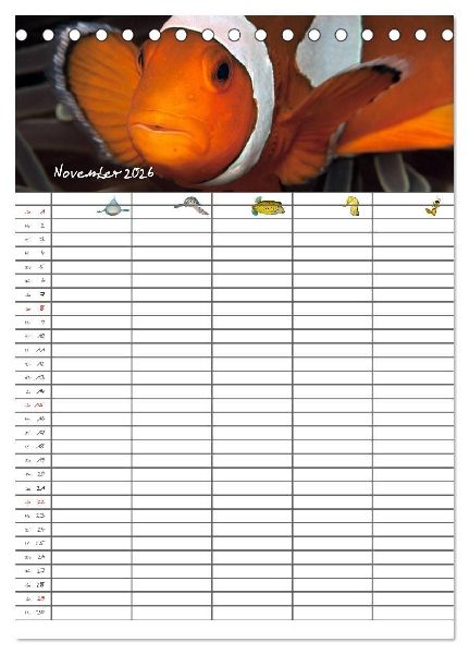 Der Unterwasser Familienplaner 2026 (Tischkalender 2026 DIN A5 hoch), CALVENDO Monatskalender