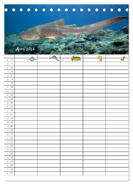 Der Unterwasser Familienplaner 2026 (Tischkalender 2026 DIN A5 hoch), CALVENDO Monatskalender
