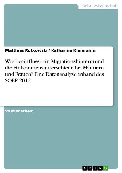 Wie beeinflusst ein Migrationshintergrund die Einkommensunters...