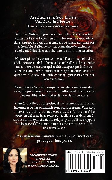 Ailes ruinées