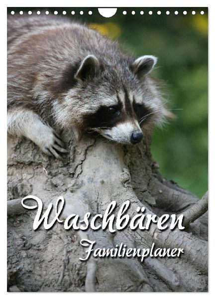 Waschbären Familienplaner (Wandkalender 2026 DIN A4 hoch), CALVENDO Monatskalender