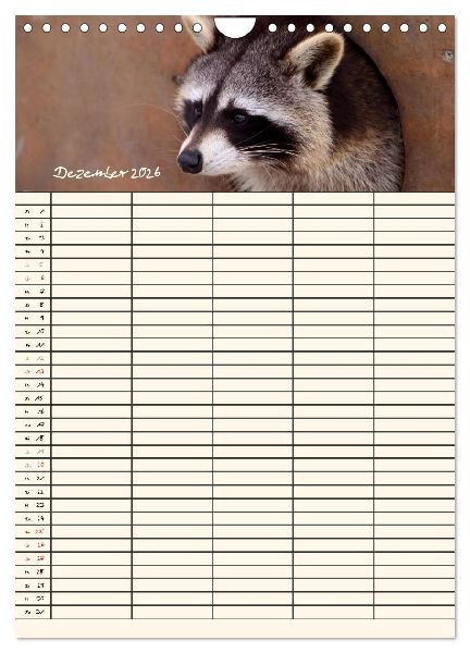 Waschbären Familienplaner (Wandkalender 2026 DIN A4 hoch), CALVENDO Monatskalender