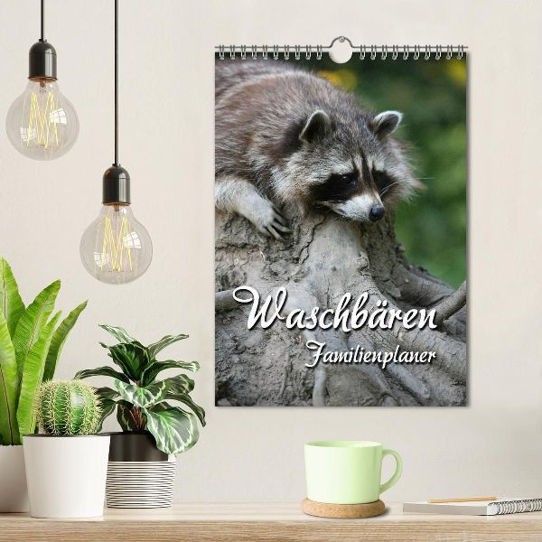 Waschbären Familienplaner (Wandkalender 2026 DIN A4 hoch), CALVENDO Monatskalender