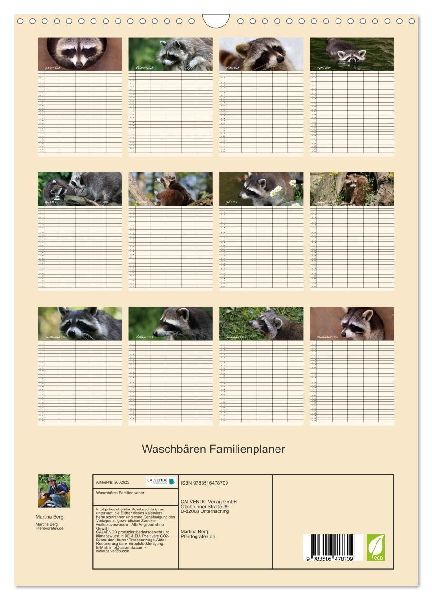 Waschbären Familienplaner (Wandkalender 2026 DIN A3 hoch), CALVENDO Monatskalender