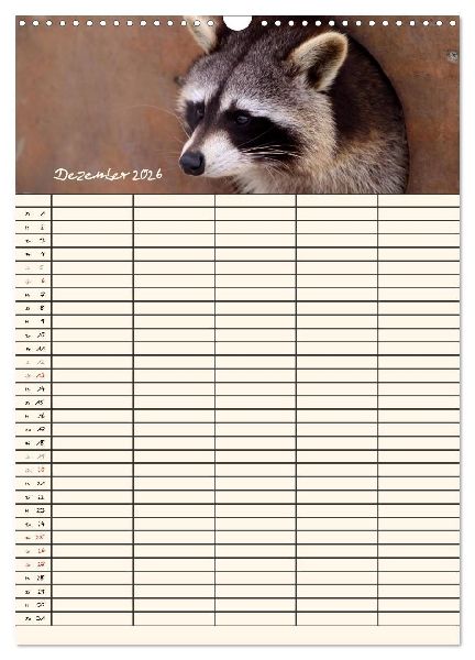 Waschbären Familienplaner (Wandkalender 2026 DIN A3 hoch), CALVENDO Monatskalender