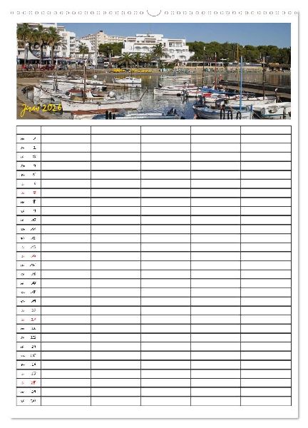 Ibiza / Familienplaner (Wandkalender 2026 DIN A2 hoch), CALVENDO Monatskalender