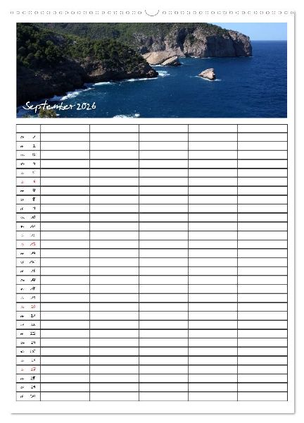 Ibiza / Familienplaner (Wandkalender 2026 DIN A2 hoch), CALVENDO Monatskalender