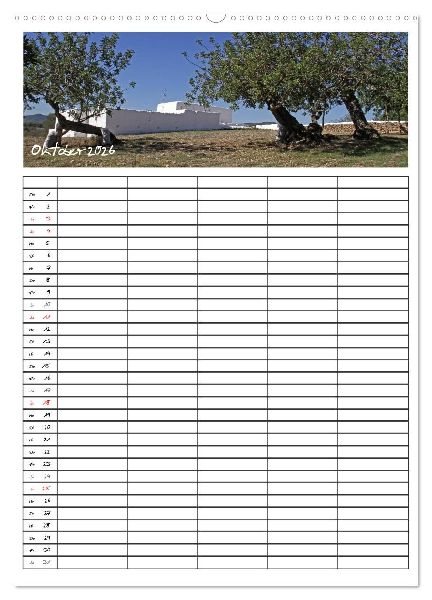 Ibiza / Familienplaner (Wandkalender 2026 DIN A2 hoch), CALVENDO Monatskalender